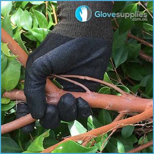 Anti Odour Treated General Purpose Glove - for more info go to glovesupplies.com.au