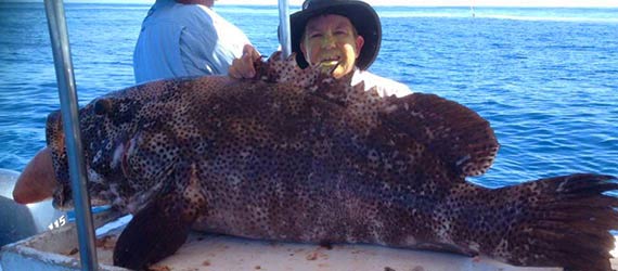 Glovesupplies FISHING Category - for more information visit glovesupplies.com.au